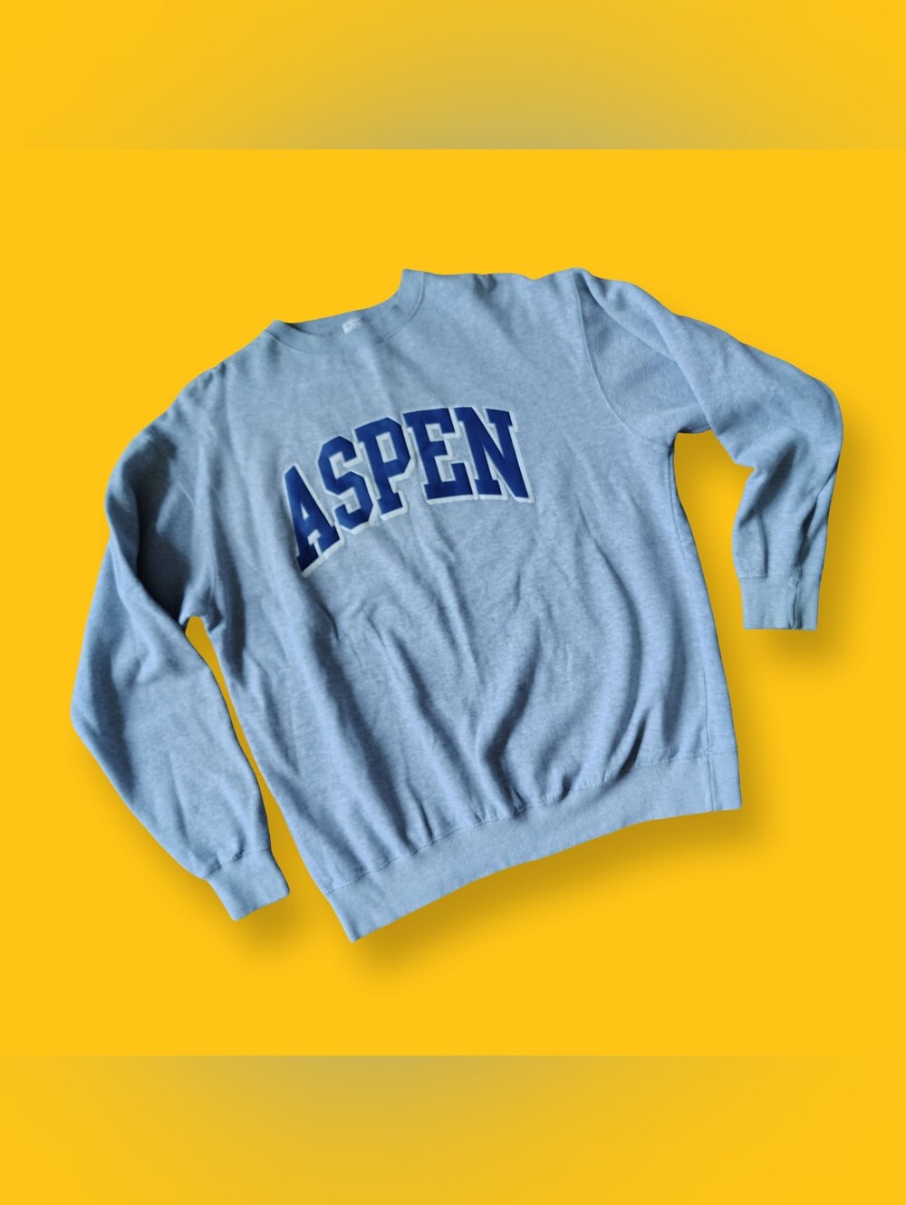 John Galt Aspen Logo Spellout Sweatshirt Gray Pullover Crewneck Brandy Melville